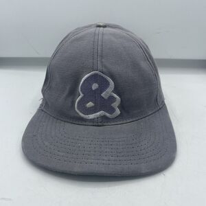 Vintage Animaniacs Hat Snapback 1993 Pinky And The Brain Gray Embroidered USA Ca